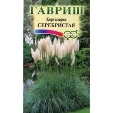 Кортадерия Серебристая (Пампасная трава)