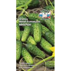 Огурец Микрон Седек