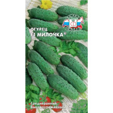 Огурец Милочка Седек Огурец Милочка Седек