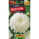 Астра Версаль пионоводная Астра Версаль пионоводная