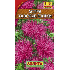 Астра Хавские Ёжики 