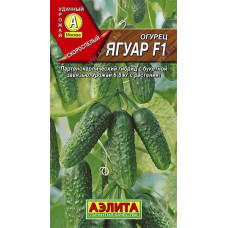 Огурец Ягуар F1 Аэлита