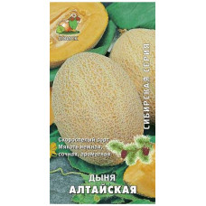 Дыня Алтайская Поиск