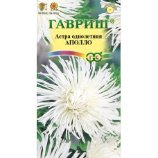 Астра Аполло игольчатая белая Гавриш