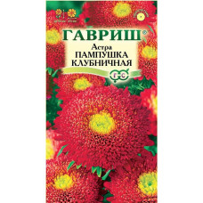 Астра Пампушка клубничная Гавриш