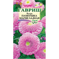 Астра Пампушка мармеладная Гавриш