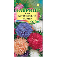 Астра Королевский размер смесь Гавриш