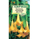 Бругмансия Аромагия Желтая Гавриш Бругмансия Аромагия Желтая Гавриш