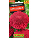 Астра Брусничка Аэлита