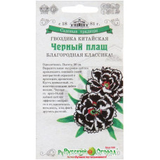 Гвоздика Черный Плащ китайская