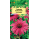 Эхинацея Красная шляпа Гавриш