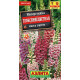 Наперстянка Глоксиниецветная смесь окрасок Аэлита 0,2г Наперстянка Глоксиниецветная смесь окрасок Аэлита 0,2г