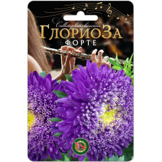 Астра китайская Глориоза Форте Биотехника