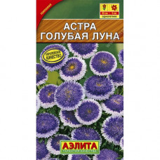 Астра Голубая Луна помпонная