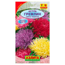 Астра Гремлин смесь окрасок Аэлита