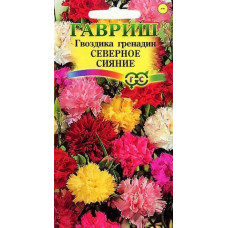 Гвоздика Многолет гренадин Северное сияние Гавриш