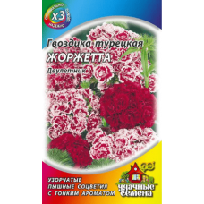 Гвоздика Турецкая Жоржетта 