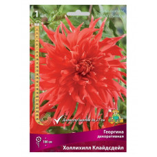 Георгина Декоративная ХОЛЛИХИЛ КЛАЙДСДЕЙЛ Поиск 1шт