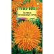 Календула Оранжевые лучи Гавриш Календула Оранжевые лучи Гавриш