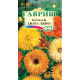Календула Джига -Джига смесь Гавриш