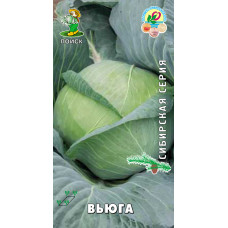 Капуста б/к Вьюга Поиск