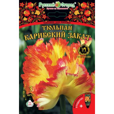 Тюльпан НК Карибский закат (3шт) Тюльпан НК Карибский закат (3шт)