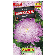 Астра Королева сада Биколор Аэлита 