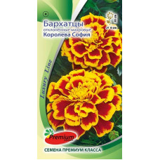 Бархатцы отклоненные Королева София (LL)