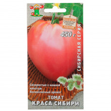 Томат Краса Сибири Поиск