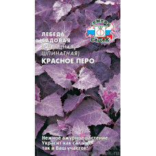 ЛЕБЕДА Красное перо (шпинатная) Седек