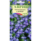 Лобелия ампельная Сапфир Лобелия ампельная Сапфир