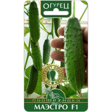 Огурец Маэстро F1 Биотехника 8шт