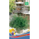 Укроп Малыш кустовой Марс 2г Укроп Малыш кустовой Марс 2г