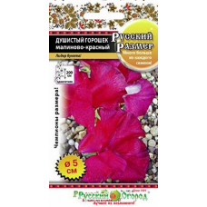 Душистый горошек РУССКИЙ РАЗМЕР Малиново-красный 6шт