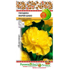 Гвоздика Мария Шабо