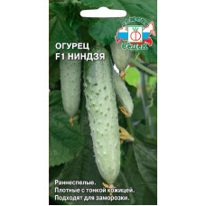 Огурец НИНДЗЯ F1 Седек
