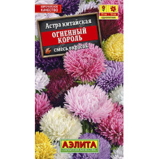 Астра Огненный Король смесь окрасок Аэлита