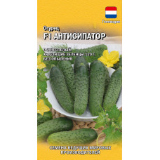 Огурец Антисипатор F1 (Голландия) Гавриш 5 шт.