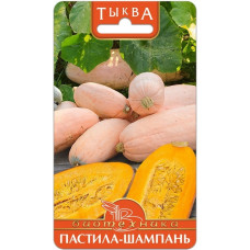 Тыква Пастила-Шампань Биотехника