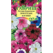 Петуния Эрфуртский карлик бахромчатая Гавриш