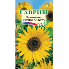 Подсолнечник Черное Золото на удивление соседей Гавриш