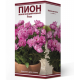 Пион РИМ Поиск Пион РИМ Поиск