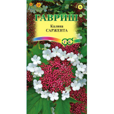 "Сад" Калина Саржента Гавриш