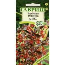 "Сад" Барбарис тунберга Алекс Гавриш