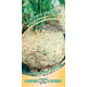 Сельдерей корневой Егор Гавриш Сельдерей корневой Егор Гавриш
