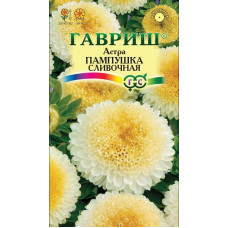 Астра Пампушка сливочная Гавриш
