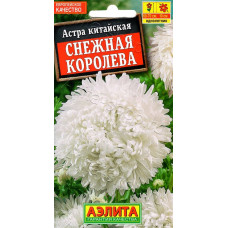 Астра Снежная Королева Аэлита