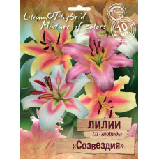 Лилия ОТ-Гибрид СОЗВЕЗДИЯ 10шт