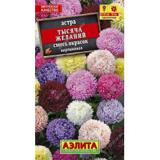 Астра Тысяча желаний смесь окрасок