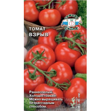 Томат Взрыв 